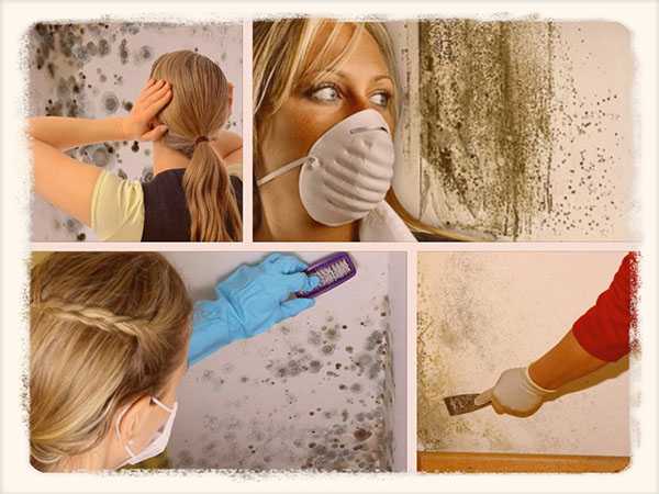 Проверенные методы, чтобы убрать запах сырости в доме