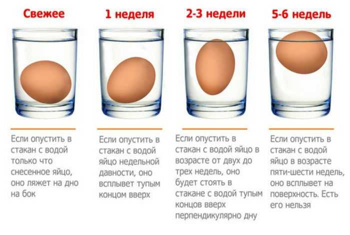 Правила хранения куриных деревенских яиц