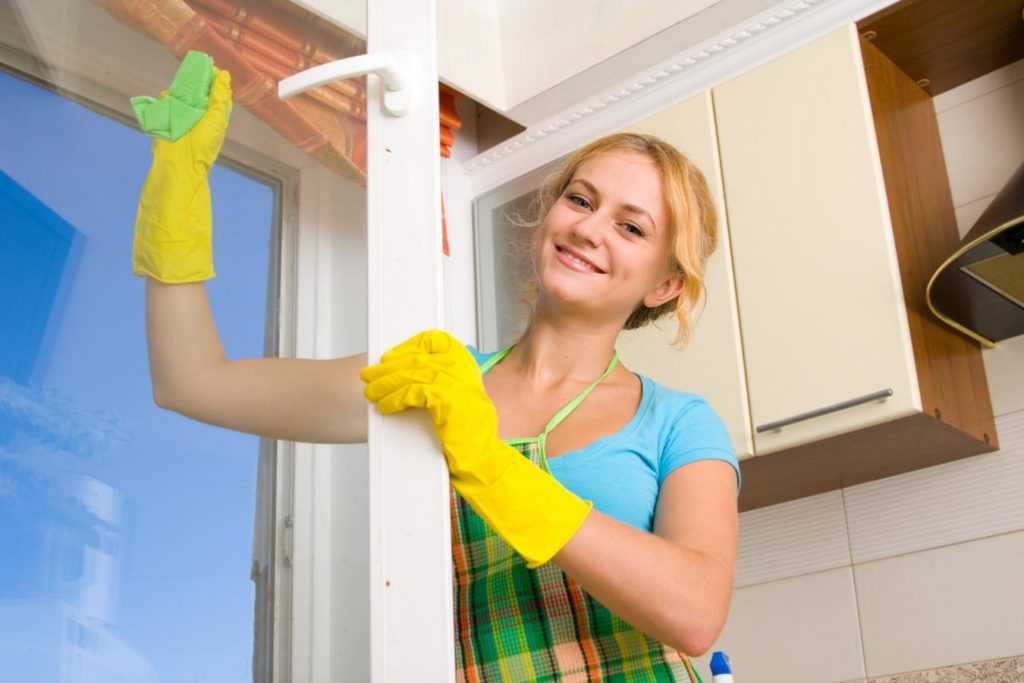 Как быстро помыть окна: легко, качественно, без разводов отмыть стекла, рамы, подоконники бытовой химией и народными средствами?