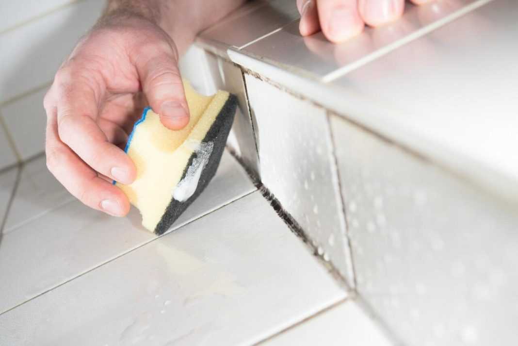Как избавиться от плесени в ванной комнате — средства борьбы