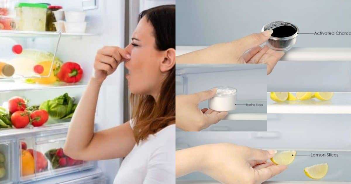 Как убрать неприятный запах из морозильной камеры