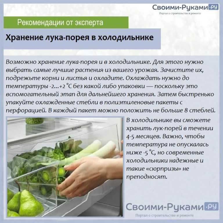 Как можно надолго сохранить свежим в холодильнике зеленый лук?