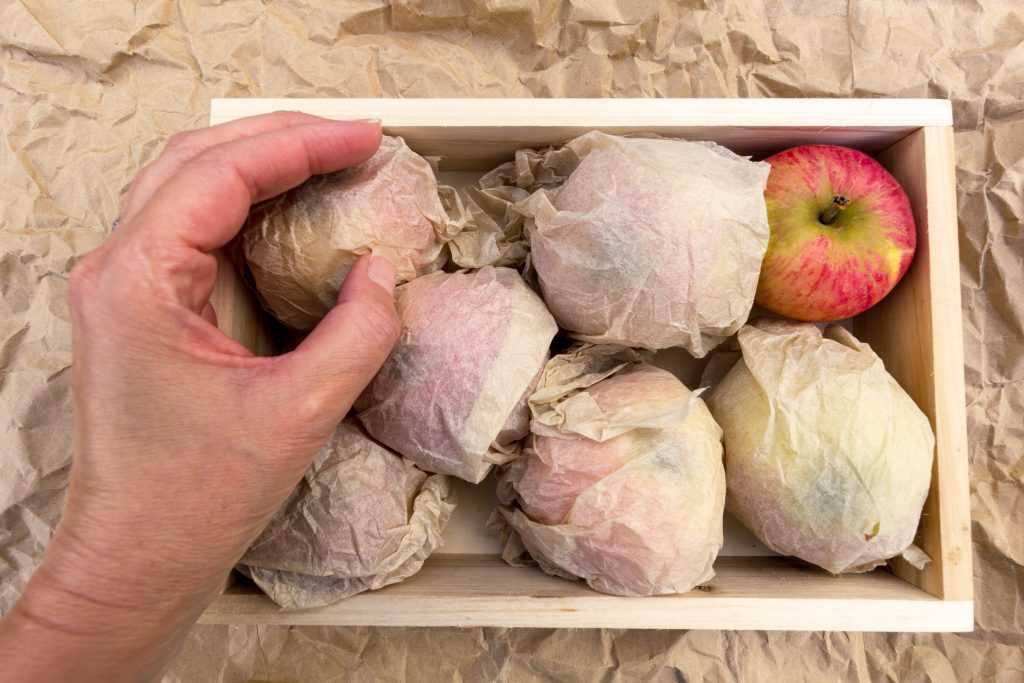 Как хранить сушеные яблоки в домашних условиях