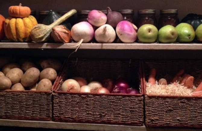 Хранение яблок на зиму в погребе: способы и правила длительного хранения урожая в погребе