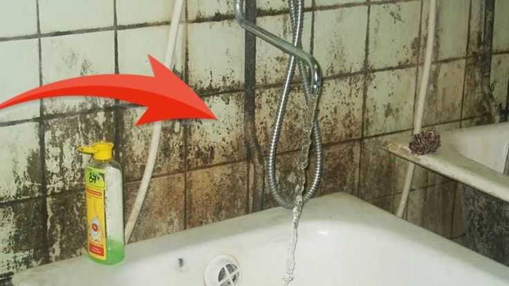 Черная плесень в ванной — как избавиться от грибка + эффективные средства для борьбы и предотвращения