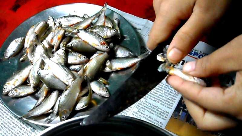 Эффективные способы избавиться от запаха рыбы на одежде