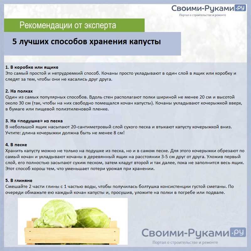 Условия и сроки хранения белокочанной капусты на зиму в домашних условиях: тонкости технологии русский фермер