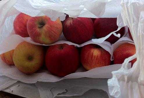 Как хранить яблоки на балконе осенью и зимой, при какой температуре должно осуществляться хранение урожая?