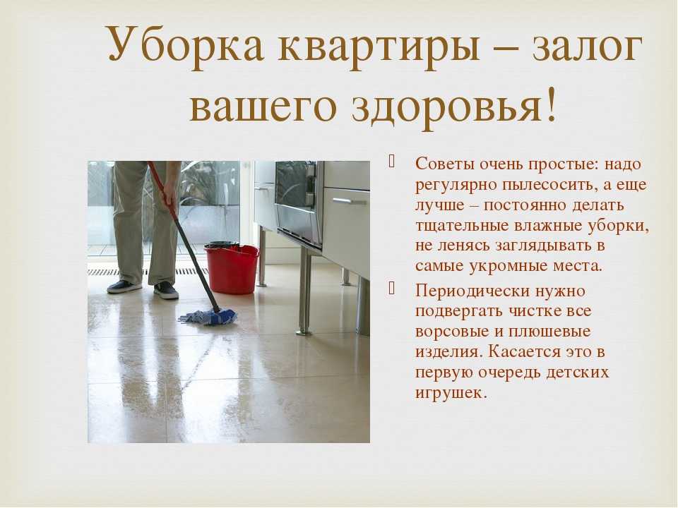 Периодичность уборки подъездов и лестничных клеток в многоквартирных домах: как часто должны убирать, сколько раз в день, месяц, год проводить чистку и мытье?