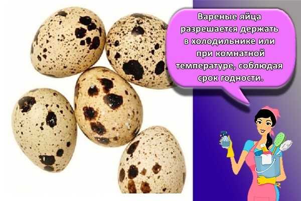 Срок годности яиц: в холодильнике, сырые и вареные куриные, сколько времени можно хранить и как правильно