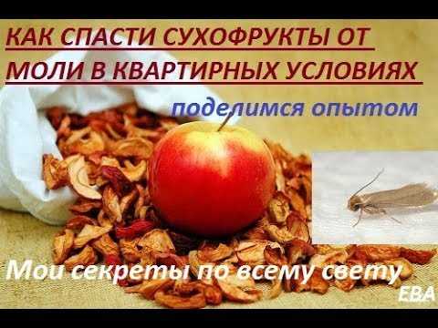 Как хранить сушеные яблоки (сушку из яблок)