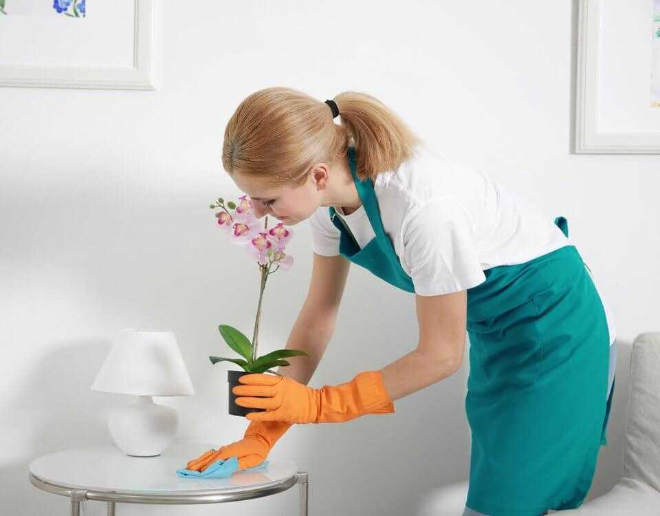 Эффективная уборка в квартире или как правильно пылесосить?