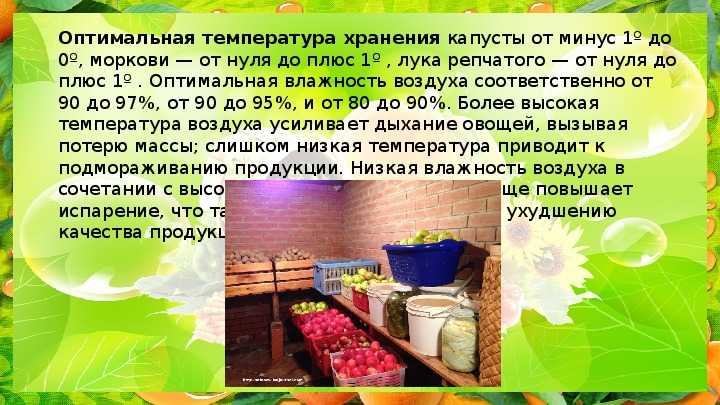 Оптимальные условия и температура хранения лука репчатого на зиму дома и в хранилище русский фермер