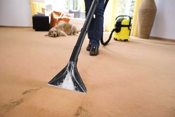 Как быстро высушивают ковры в квартире на полу: способы эффективной сушки