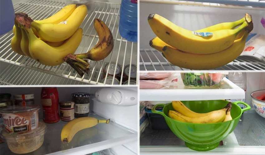 Свежие бананы: как хранить продукты правильно :: syl.ru