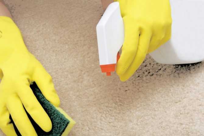 Простые пошаговые инструкции, как очистить ковер от пятен в домашних условиях