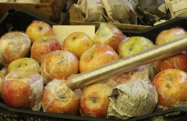 Чем обрабатывают яблоки для длительного хранения в домашних условиях