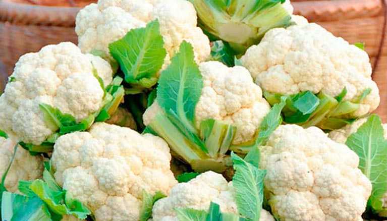 Как заморозить цветную капусту на зиму: 5 рецептов, советы