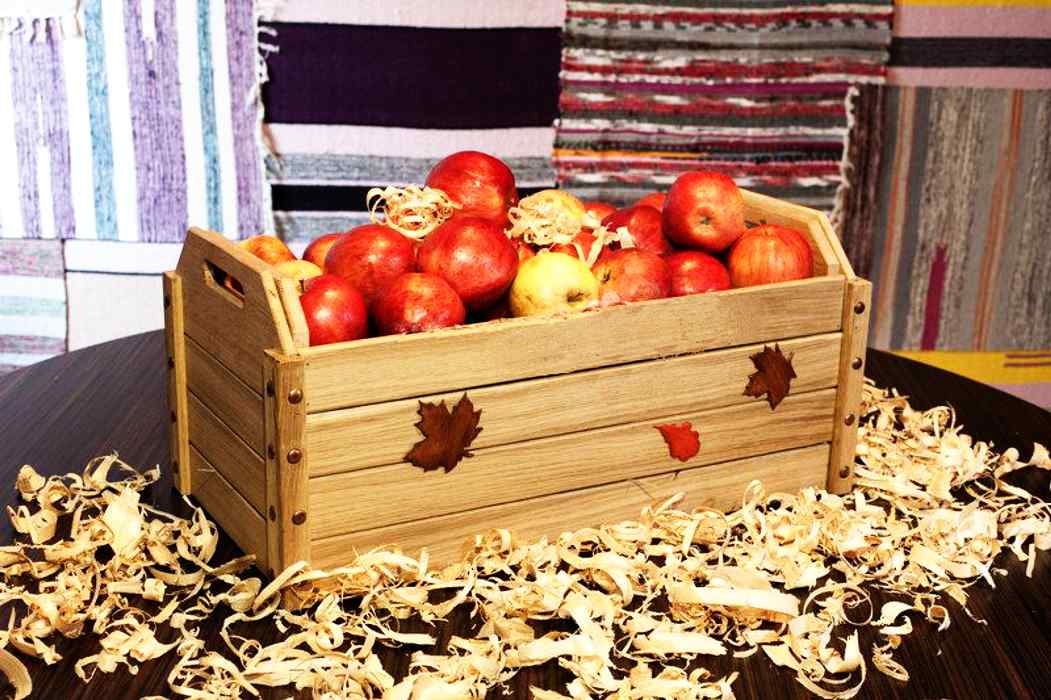 Как хранить пастилу из яблок в домашних условиях: способы хранения яблочного десерта, советы и запреты