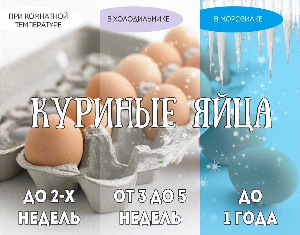 Срок хранения яйца в холодильнике: годность куриных, перепелиных и вареных