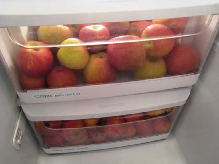 Как, где и в чем нужно хранить сушеные яблоки в домашних условиях в квартире