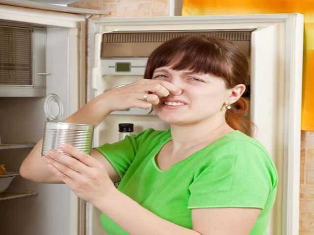 Чем помыть холодильник: внутри и снаружи, народные и специальные средства