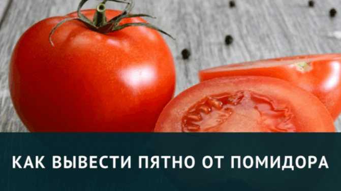 Как отстирать томатный сок в домашних условиях – занимательная химия от натальи брянцевой
