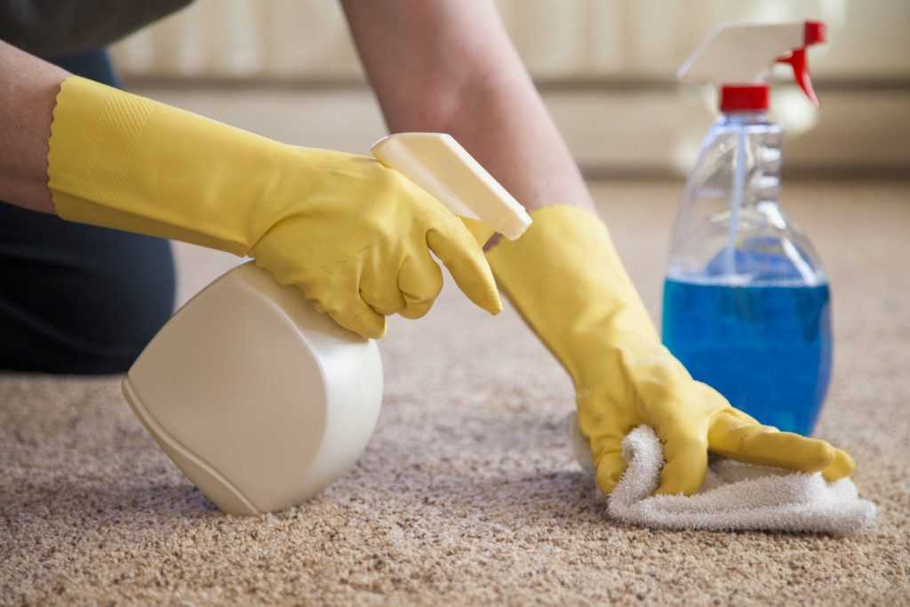 Чистка ковра в домашних условиях: как сделать это быстро и эффективно