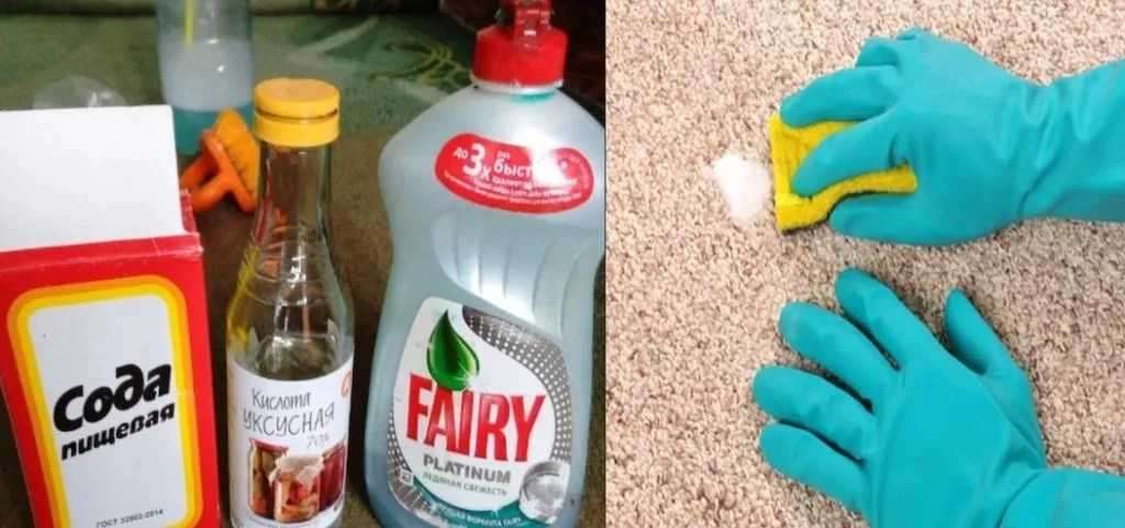 Как почистить палас в домашних условиях быстро и эффективно