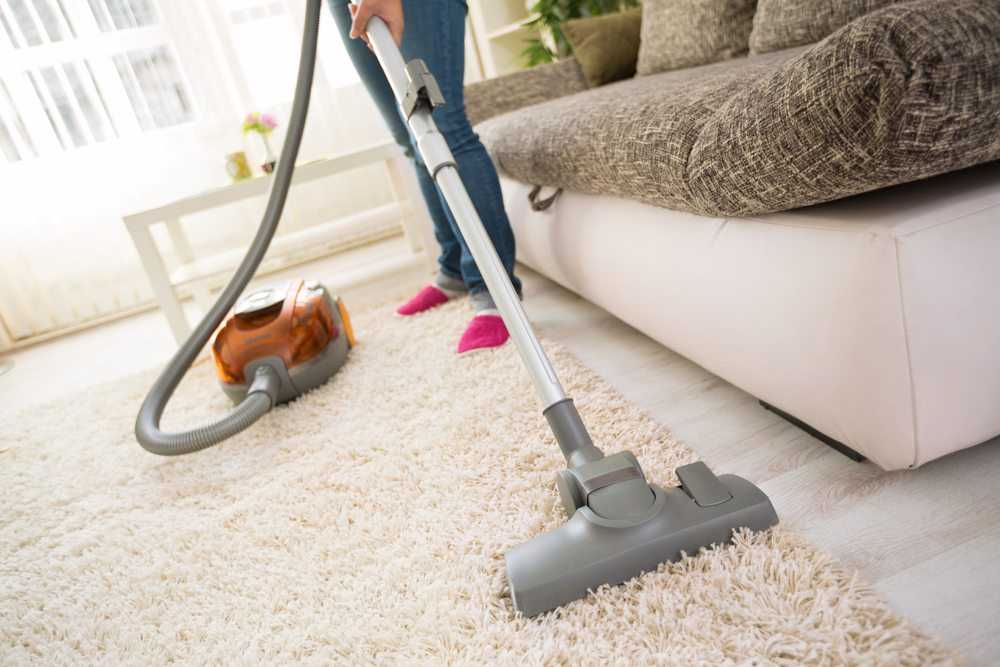 Химчистка ковров: какой способ выбрать, рекомендации по чистке деликатных ковров