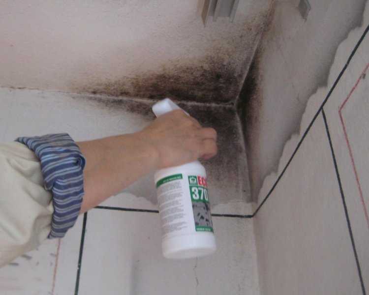 Как удалить черную плесень со стен в комнате или квартире: вывести грибок домашними средствами, как удалить при помощи специальных составов?