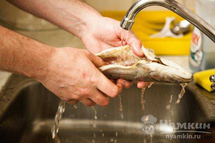 Хозяйке на заметку: простые способы, которые помогут устранить запах рыбы