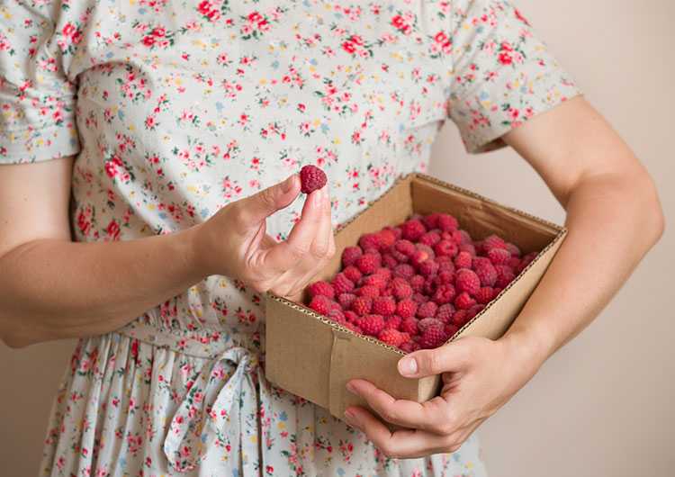 Как убрать пятна от ягод с дивана и ковра, как вывести следы от вишни, клубники, черешни, шелковицы, смородины, винограда с одежды?