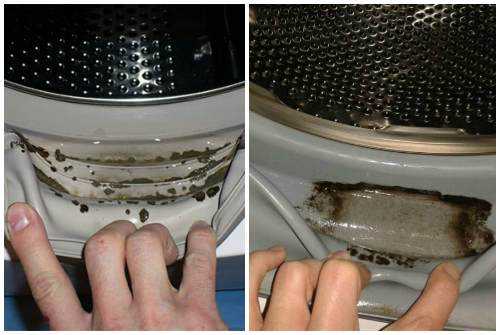 Как вывести плесень из стиральной машинки средство