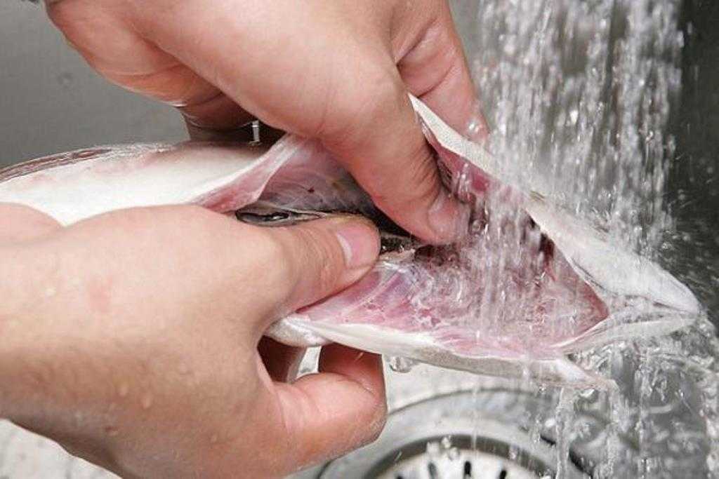 Как быстро убрать даже застоявшийся рыбный запах в духовке