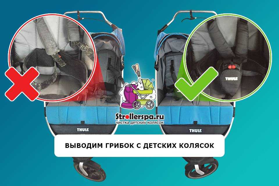 Как отстирать плесень с детской коляски, чем убрать пятна?