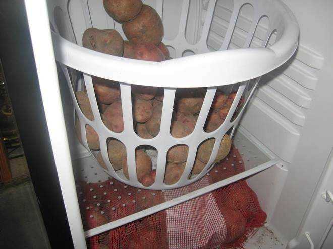Как хранить картошку в квартире в домашних условиях правильно