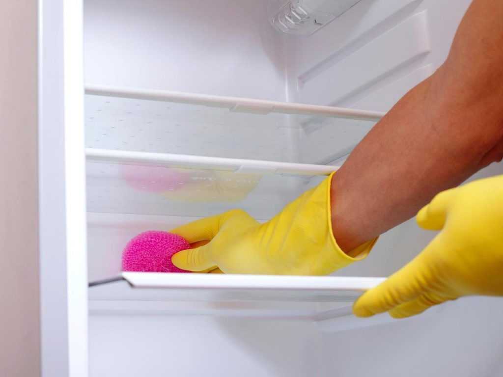 Как помыть холодильник в домашних условиях?⭐ инструкция по очистке холодильников