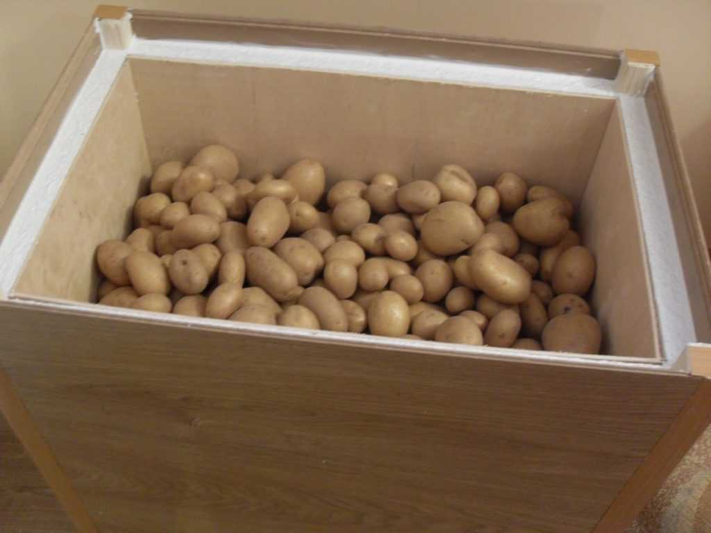 Где и как хранить картофель в квартире, чтобы он не прорастал