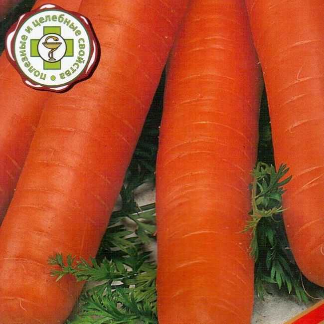 Сладкие сорта моркови для зимнего хранения. какие выбрать семена, гибриды для разных регионов россии в 2021 году