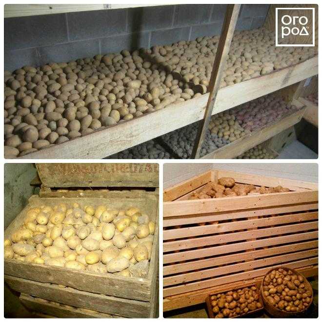 Как хранить очищенный картофель: долго ли можно держать его в таком виде, сколько часов, а также способы сберечь овощ до утра следующего дня или больше чем на сутки русский фермер