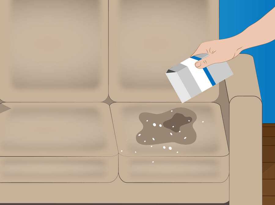 Как избавиться от запаха мочи на диване, чем убрать в домашних условиях?