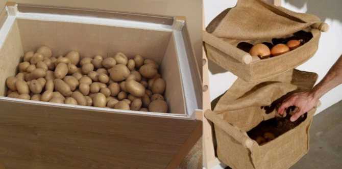 Как правильно хранить картофель? условия, температура, сроки. фото — ботаничка.ru