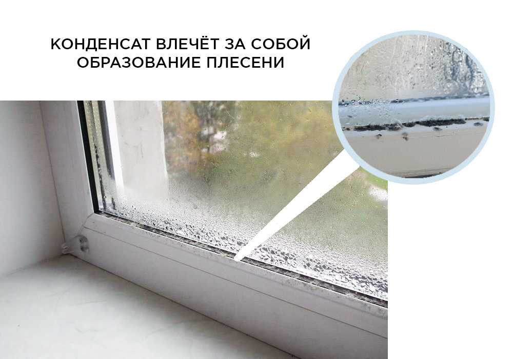 Эффективные способы удаления плесени на окнах, подоконниках и откосах