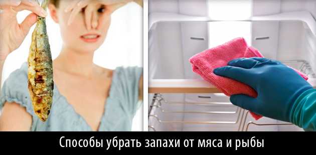 Как убрать неприятный запах из холодильника и морозилки: быстро устраняем причины и последствия
