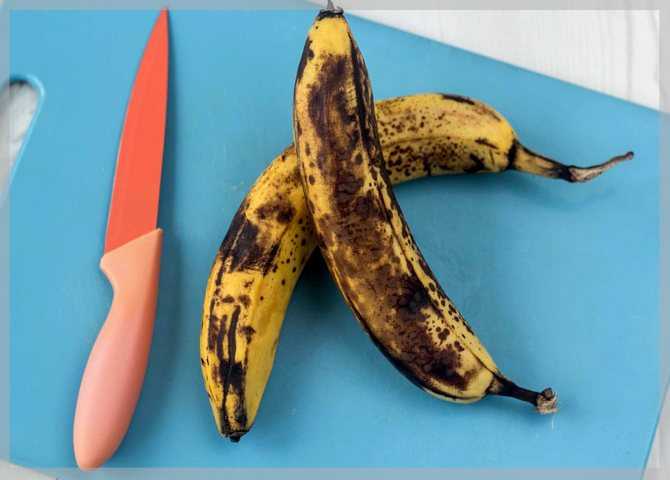 Как хранить бананы, чтобы они не чернели дома: причины порчи, способы хранения