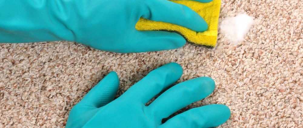 Чистка ковров в домашних условиях с содой и уксусом: секретный способ