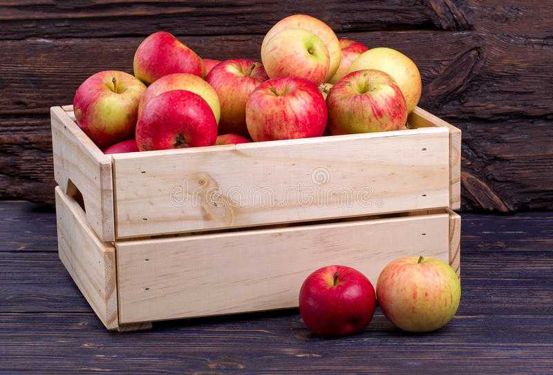Переработка яблок на зиму в домашних условиях: 19 рецептов