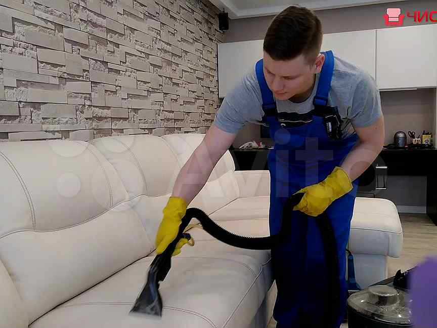 «ваниш» (vanish) для ковров, мягкой мебели: инструкция по применению при ручном способе чистки, как пользоваться с помощью пылесоса, отзывы