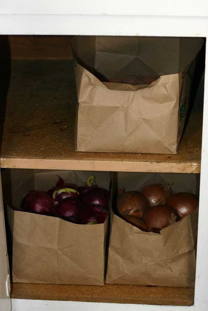 Как и где нужно хранить картошку в квартире: способы и температура хранения